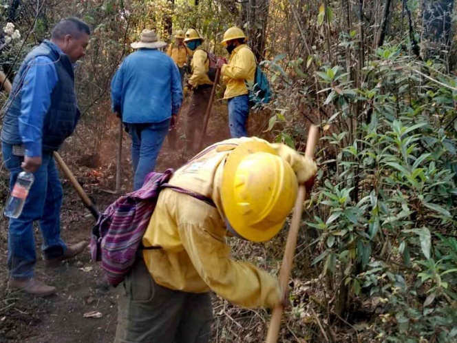 Apoya Guardia Nacional en nuevo incendio en Tepoztlán